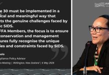 FFA Members discuss next steps on Article 30 implementation