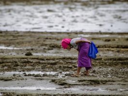 Pacific Ocean under pressure — Now a region finally armed with evidence