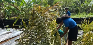 No Rain, No Relief: Palau and Western Micronesia brace for dry stretch before El Niño arrives