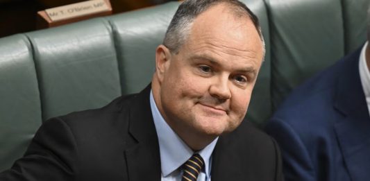 Hanson holding ‘gun to the head’ of Pacific nations: O’Brien