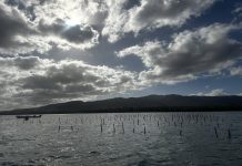 Fiji targets 15 percent Marine Protection by end of 2026