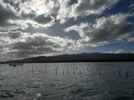 Fiji targets 15 percent Marine Protection by end of 2026