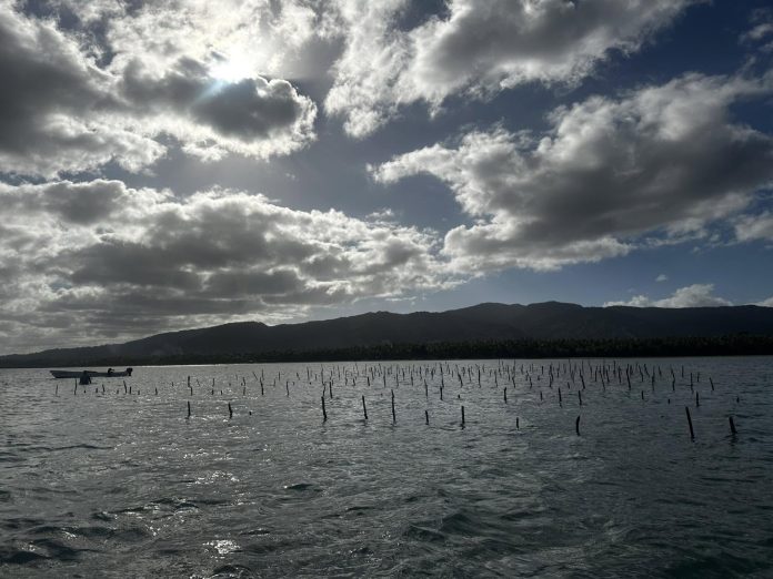 Fiji targets 15 percent Marine Protection by end of 2026