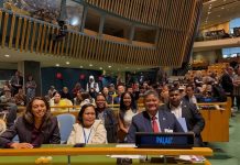 Pacific calls for greater support on disability inclusion at UN Conference