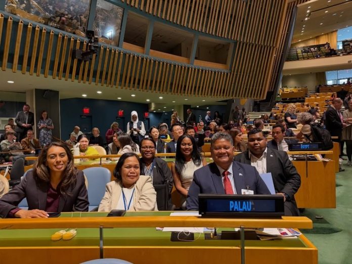 Pacific calls for greater support on disability inclusion at UN Conference