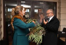 Solomons PM to meet Albanese with China pact in focus