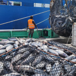 El-Nino likely to affect Tuna migration: PNG Fisheries Minister Wong
