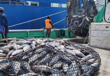 El-Nino likely to affect Tuna migration: PNG Fisheries Minister Wong