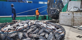 El-Nino likely to affect Tuna migration: PNG Fisheries Minister Wong