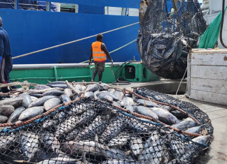 El-Nino likely to affect Tuna migration: PNG Fisheries Minister Wong