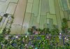 Understanding the climate change-statelessness nexus in the Asia Pacific and what to do about it