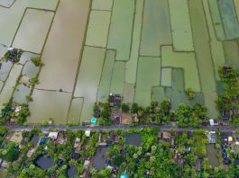 Understanding the climate change-statelessness nexus in the Asia Pacific and what to do about it