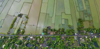 Understanding the climate change-statelessness nexus in the Asia Pacific and what to do about it