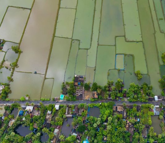 Understanding the climate change-statelessness nexus in the Asia Pacific and what to do about it