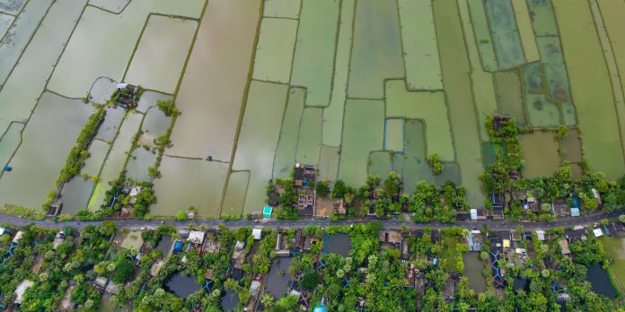 Understanding the climate change-statelessness nexus in the Asia Pacific and what to do about it