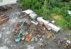 The aftermath of logging’s broken promises: Can carbon trading save Makira’s last forests?