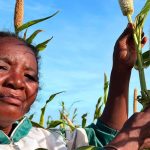 Bracing for El Niño: FAO and WFP launch joint appeal to protect 8.8 million people from extreme weather events