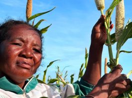 Bracing for El Niño: FAO and WFP launch joint appeal to protect 8.8 million people from extreme weather events