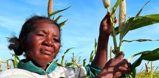 Bracing for El Niño: FAO and WFP launch joint appeal to protect 8.8 million people from extreme weather events