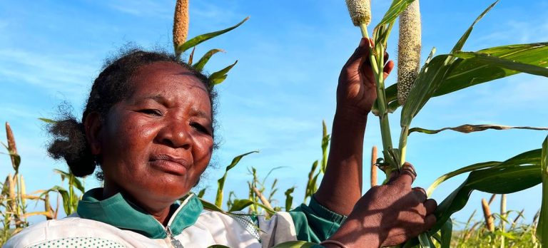 Bracing for El Niño: FAO and WFP launch joint appeal to protect 8.8 million people from extreme weather events