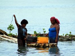 Traditional knowledge strengthens climate resilience in Fiji’s coastal fisheries