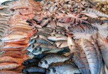 Fish Fund supports Tonga’s first notification under the agreement on fisheries subsidies