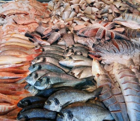 Fish Fund supports Tonga’s first notification under the agreement on fisheries subsidies