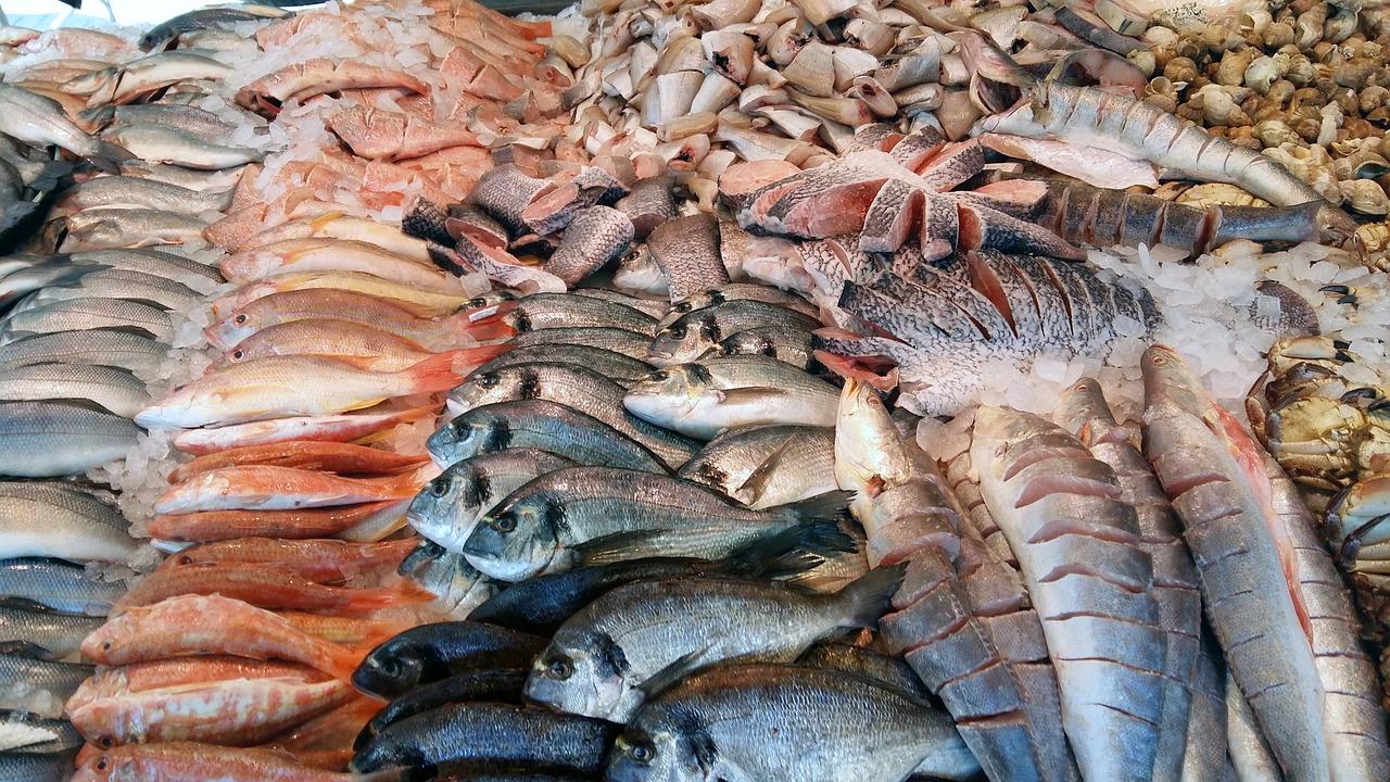 fish-1693545_1280