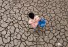 Global temperatures set to stay near record levels: UN weather agency