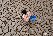 Global temperatures set to stay near record levels: UN weather agency
