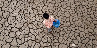 Global temperatures set to stay near record levels: UN weather agency