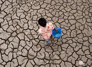 Global temperatures set to stay near record levels: UN weather agency