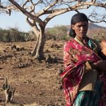 El Niño confirmed, set to fuel more extreme weather, says WMO