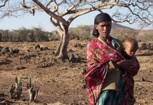 El Niño confirmed, set to fuel more extreme weather, says WMO