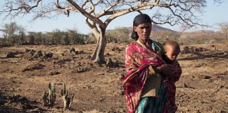El Niño confirmed, set to fuel more extreme weather, says WMO