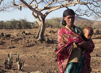 El Niño confirmed, set to fuel more extreme weather, says WMO