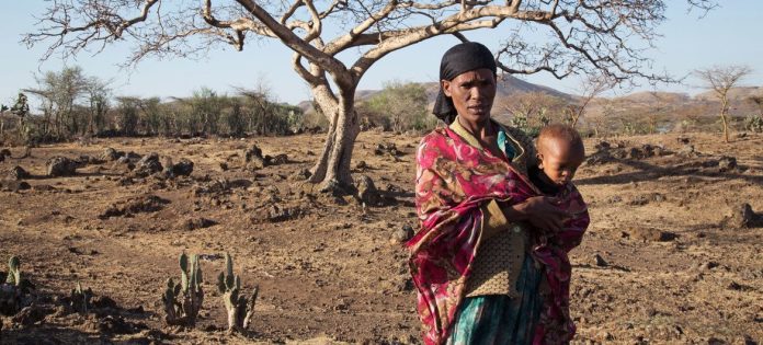 El Niño confirmed, set to fuel more extreme weather, says WMO