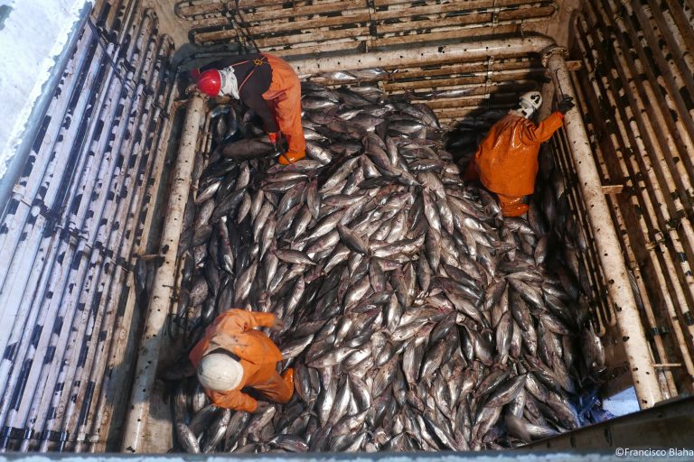 Pacific Power, how regional cooperation transformed the world’s largest tuna fishery