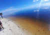 El Niño forecast to intensify, increasing likelihood of extreme weather