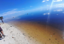 Tuvalu backs UN methane push, Calls for fossil fuel phase-out