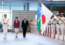 Japan, Solomon Islands agree to deepen ties ahead of PALM11