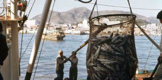Tokelau fisheries row: NZ rejects claim of increased control