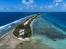 Why small island states are driving the fight against climate change