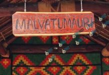 Malvatumauri demands revocation of Dr Naupa’s MSG DG appointment by 30 July