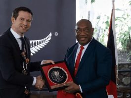 More Pacific defence partnerships likely after PNG and NZ sign agreement, expert says