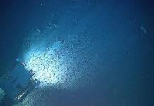 Alarm sounded on radioactive risk from deep sea mining