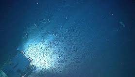 Alarm sounded on radioactive risk from deep sea mining