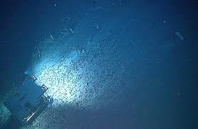 Alarm sounded on radioactive risk from deep sea mining