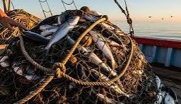 The ocean wealth that keeps leaving Micronesia