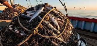 The ocean wealth that keeps leaving Micronesia